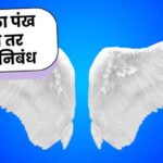 If i had wings marathi essay